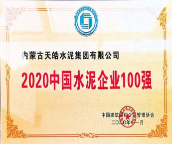 2020中國水泥企業100強